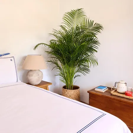 Benedita De Nexe - Algarve - A Charming Countryside Retreat