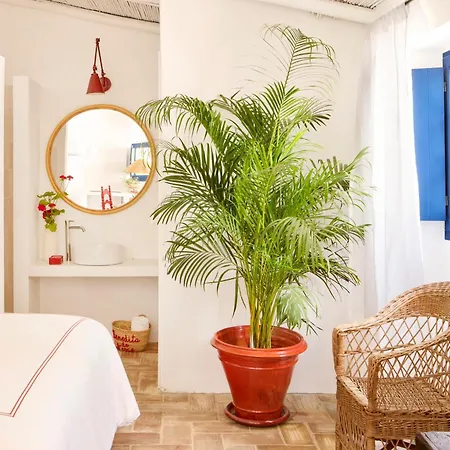 Benedita De Nexe - Algarve - A Charming Countryside Retreat Palhagueira